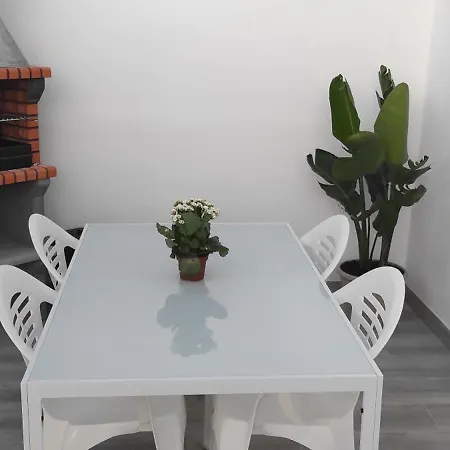 Kaki * Conil De La Frontera